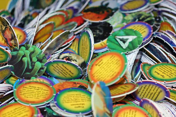 Tazos de Pokémon o Dragon Ball